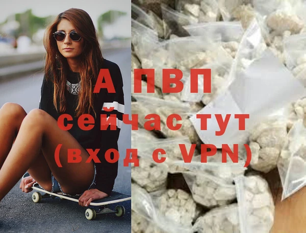 ECSTASY Киреевск