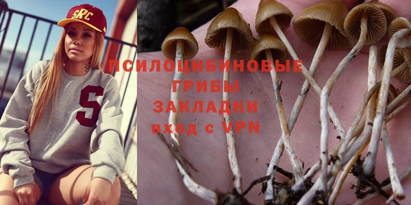 прущая мука Кинешма