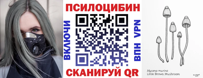 Галлюциногенные грибы GOLDEN TEACHER Плёс